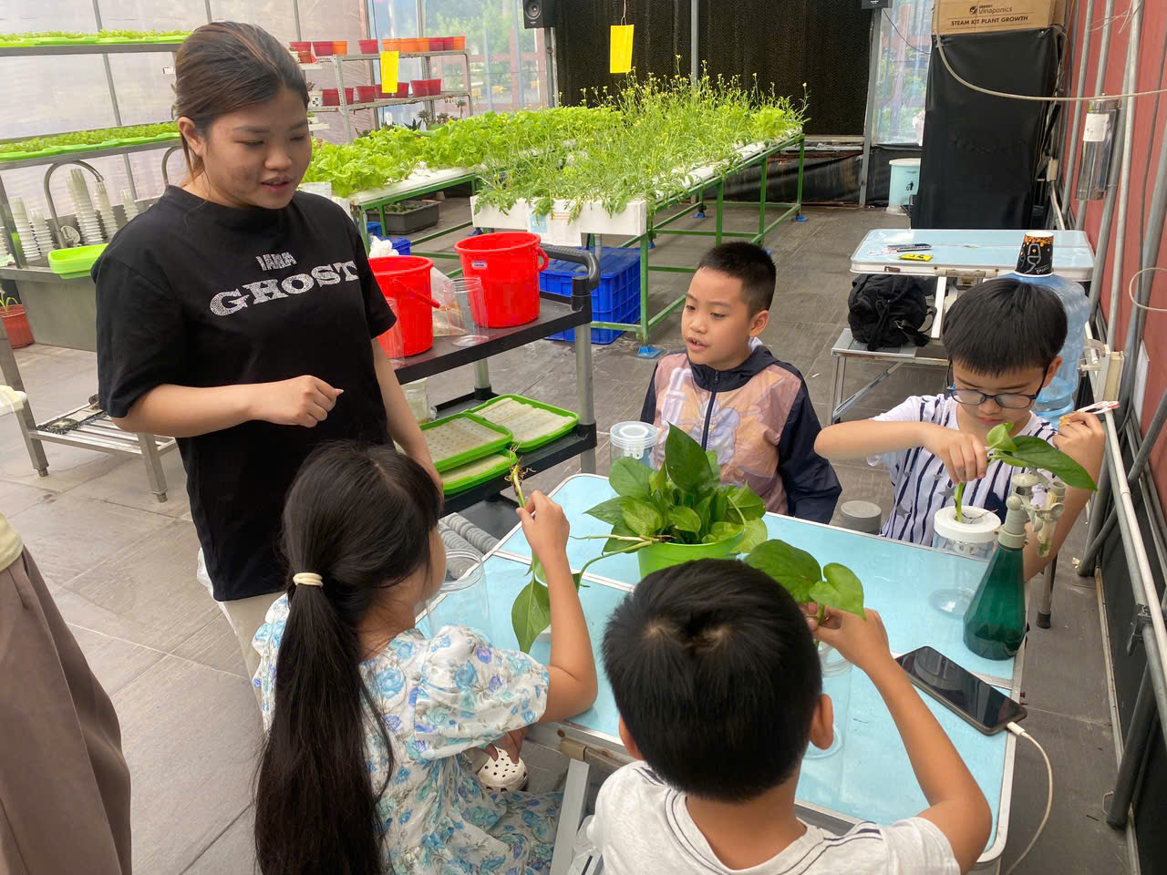 Bé khám phá mô hình Aquaponics Kit